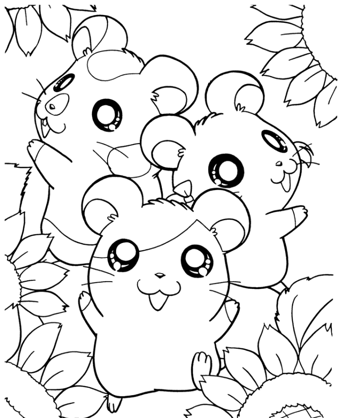 Plansa de colorat cu Hamsteri 71 69